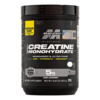 Creatina Platinum 90 servicios